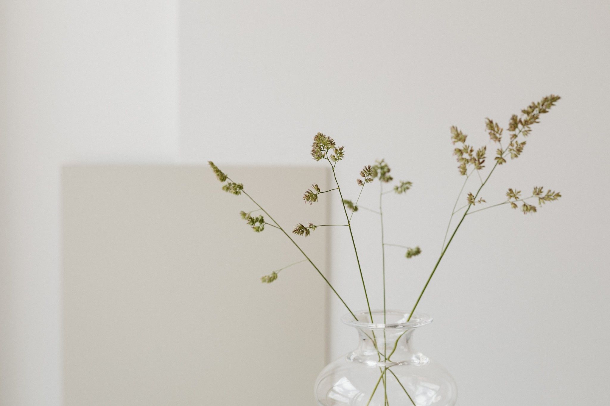 Yellow flower stems in a glass vase